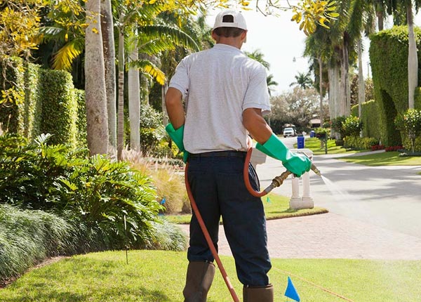 About South Newfane VT Pest Control